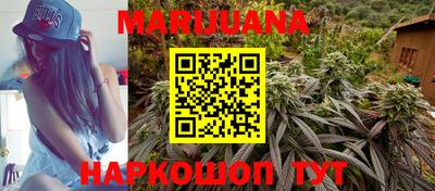 кокс Кандалакша