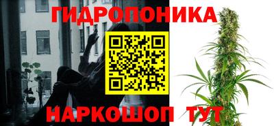 кокс Кандалакша
